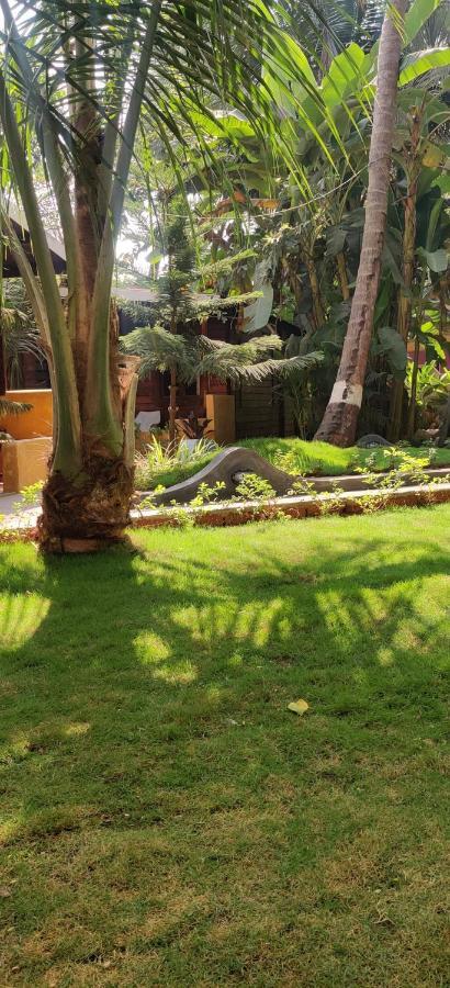 Tattvam On The Beach - Retreat And Spa Arambol Eksteriør bilde