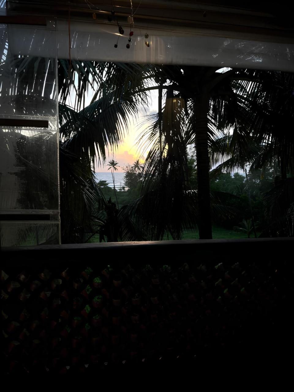Tattvam On The Beach - Retreat And Spa Arambol Eksteriør bilde
